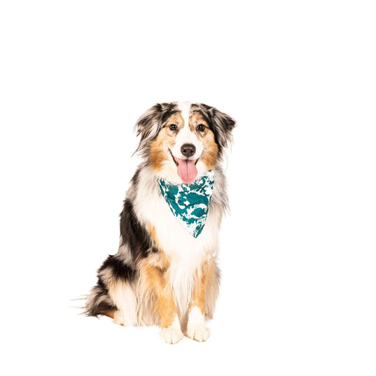 DGS Pet Products Unbugz-It Bandana Abstract